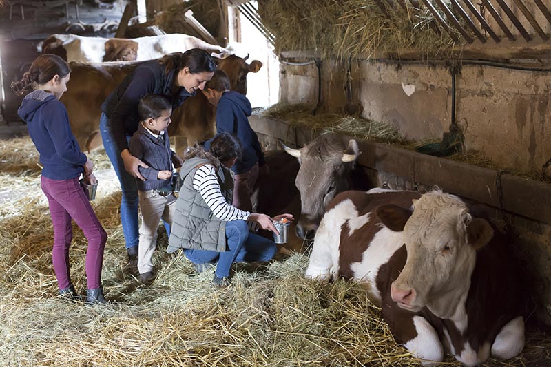Animations pour enfants